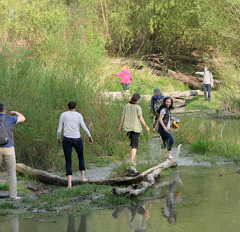 Danube Guides - Donauwanderung