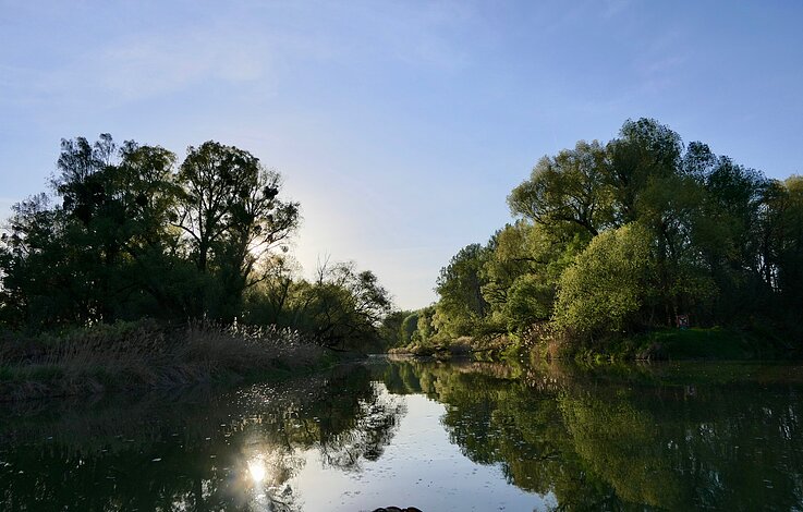 Danube Guides - Donau