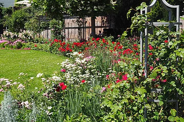 Rosengarten Ulm