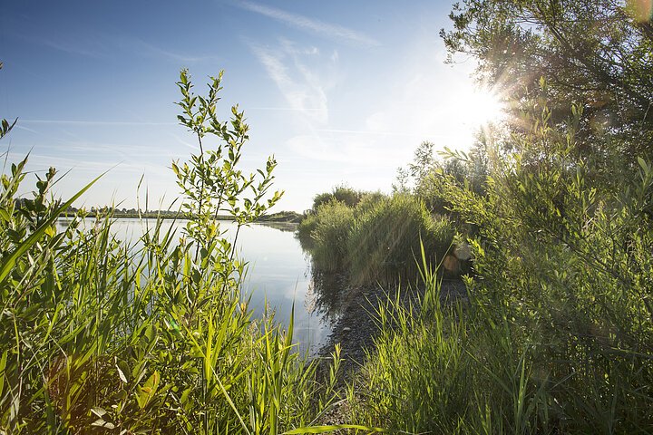 Donaumoos-SeeImDonaumoos-Donau-Landschaft-KatjaFouadVollmer