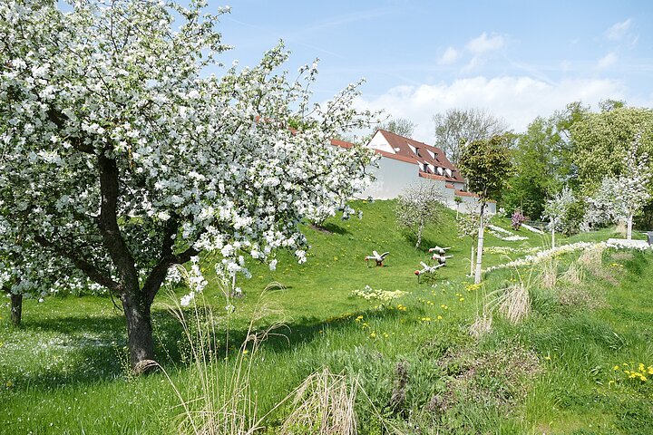 Leipheim-Stadtgraben-Donau-Landschaft-StadtLeipheim