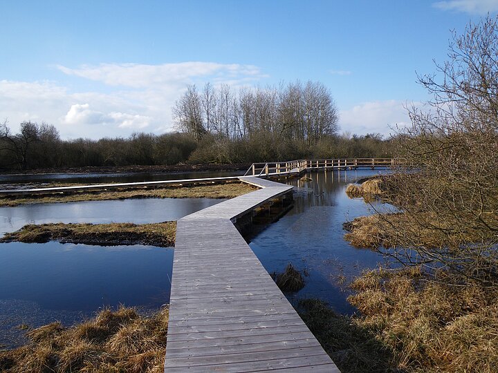 Leipheim-Bohlenweg2-Donau-Sehenswürdigkeit-ArgeDonaumoos