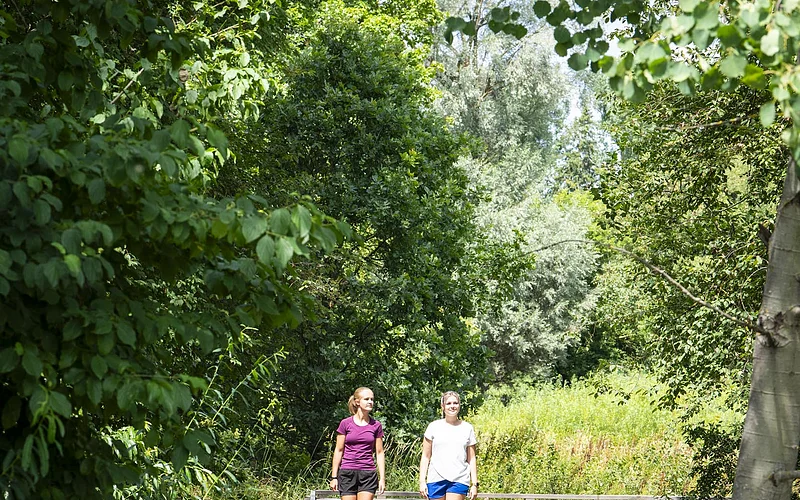 Donauursprung Donaueschingen