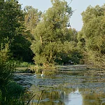 DEU, Stadt Munderkingen, Donau,  Bildarchiv, Kontakt: email: tourismus@munderkingen.de;    Fotograf: Thomas Stephan, Kontakt: Tel.: 0171-8396045, email: mail@thomas-stephan.de