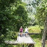 Donauursprung Donaueschingen