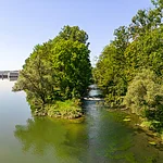 Die Brenz mündet in die Donau