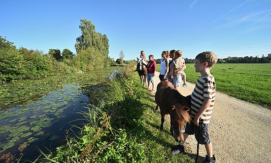 DEU, Stadt Munderkingen, Donau,  Bildarchiv, Kontakt: email: tourismus@munderkingen.de;    Fotograf: Thomas Stephan, Kontakt: Tel.: 0171-8396045, email: mail@thomas-stephan.de