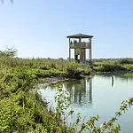 Aussichtsturm Mooswaldsee