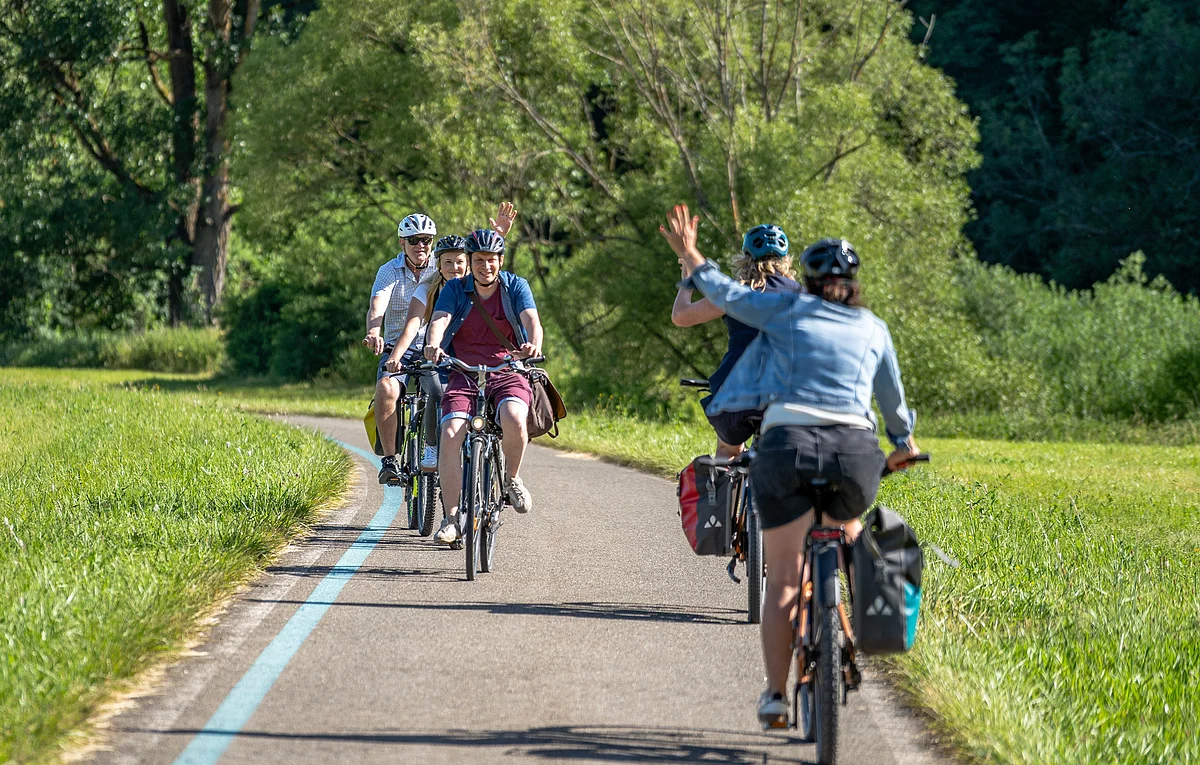 fahrradständer zu verschenken Fahrradständer, Fahrräder Abstellständer mit 3 Fahrrad Ständer Stellplätze, Extra Breiten Korb, 6 Haken, Verstellbarer Fahrradschlitz für Color:Schwarz - Lenker Rabeneick TC5 - Trekkingrad papier produkt
