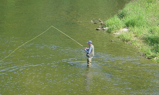 Scheer - Angler an der Donau 2