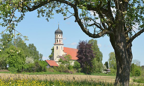 Munderkingen - Frauenbergkirche