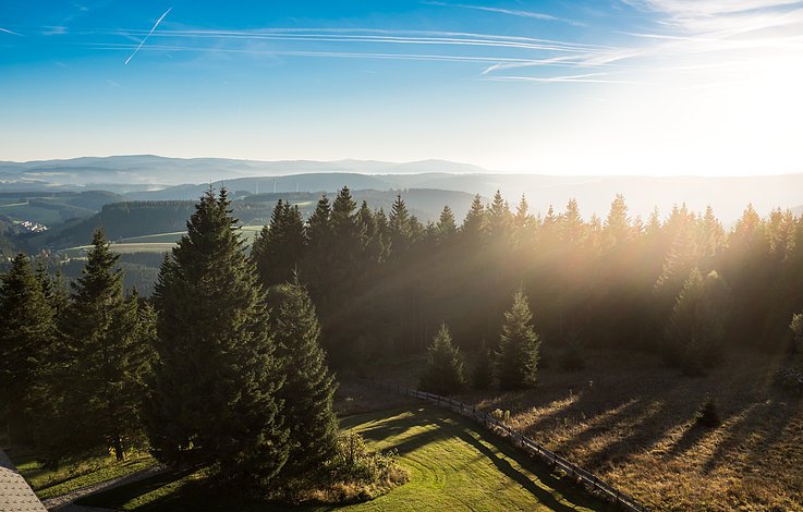 Furtwangen - Schwarzwald