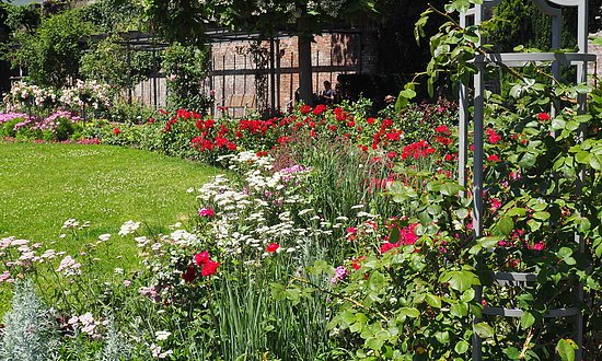 Rosengarten Ulm