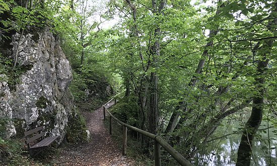 Rechtenstein - Wanderpfad zur Braunsel - 2017