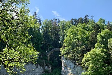 Inzigkofen - Teufelsbrücke 2