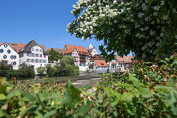 Riedlingen - Donauwehr
